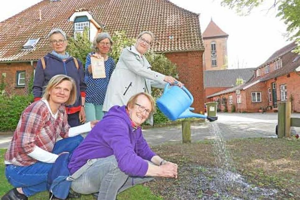 Die Klimagruppe der Evangelisch-Lutherischen Kirchengemeinde Preetz will die Saat für ein klimabewusstes Leben legen. Für Aktionen, Projekte und öffentlichkeitswirksame Aufklärungsarbeit sind Mitstreiter*innen herzlich willkommen. Aufmerksamkeit und Insektenfutter sollen auf einem Blühstreifen kurz vor dem Eingang zum Kirchhof wachsen.