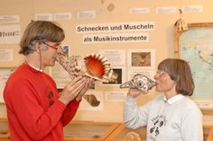 Foto: Haus der Natur Cismar/Gutknecht