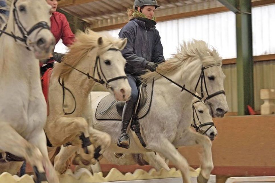 Schaubild mit viel Tempo: Am Donnerstag startet der Preetzer Reitverein bei den VR Classics in Neumünster. Die detailreiche Choreographie stammt aus der Feder von Trainerin Heike Holm, die das Thema ihrer Geschichte bei den Eisbären in der Arktis angesiedelt hat