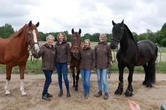 Das Team der Pferdepraxis Ostholstein sorgt mit Erfahrung und Herz für die Gesundheit von Pferden in der Region.