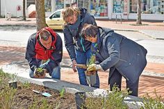 Andrea Lüdtke und Ulf Seiler haben sich spontan der gartenbegeisterten Helfergruppe angeschlossen und in wenigen Minuten eine der vorbereiteten Flächen im Beet mit jungen Taglilien bepflanzt.