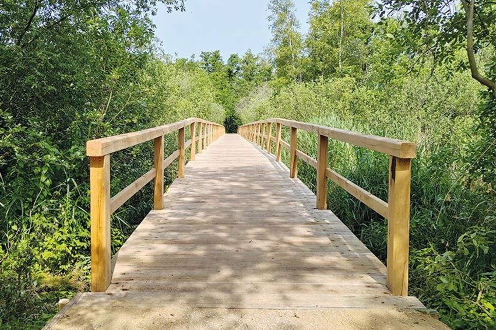 Seit 8. Juni ist die neue Pionierbrücke im Niendorfer Naturschutzgebiet fertiggestellt.