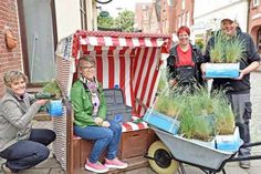 Michaela Lindemann, Anleiterin im Gartenlandschaftsbau von Land in Sicht, die Vorsitzende des Plöner Vereins Stadtmarketing Wiebke Kiß und die Land in Sicht-Teilnehmer Matina Ehlers und Ingo Strenge präsentierten das Strandkorb-Pflanzprojekt, einer weiteren Initiative zur Verschönerung der Innenstadt.