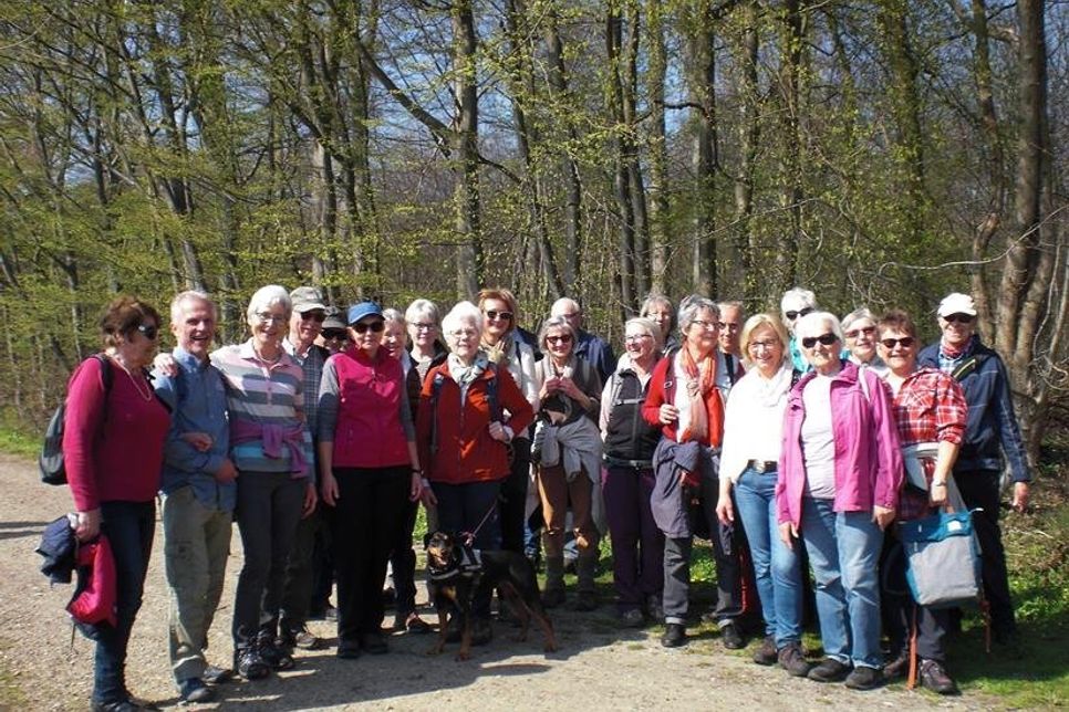 Niendorf. Bei feinstem Frühlingswetter führten die Wanderführer des Wandervereins Ostholstein vor Kurzem durch das Naturschutzgebiet Aalbek-Niederung. Los ging es am Vogelpark in Niendorf. Zunächst lies sich die Wandergruppe den Ostseewind um die Nase pusten, um dann in das geschützte Hinterland abzubiegen. Es ging kreuz und quer durch die „Aalbek-Niederung“, in der seltene Pflanzenarten und eine reiche Kleintierwelt zuhause sind. (red)