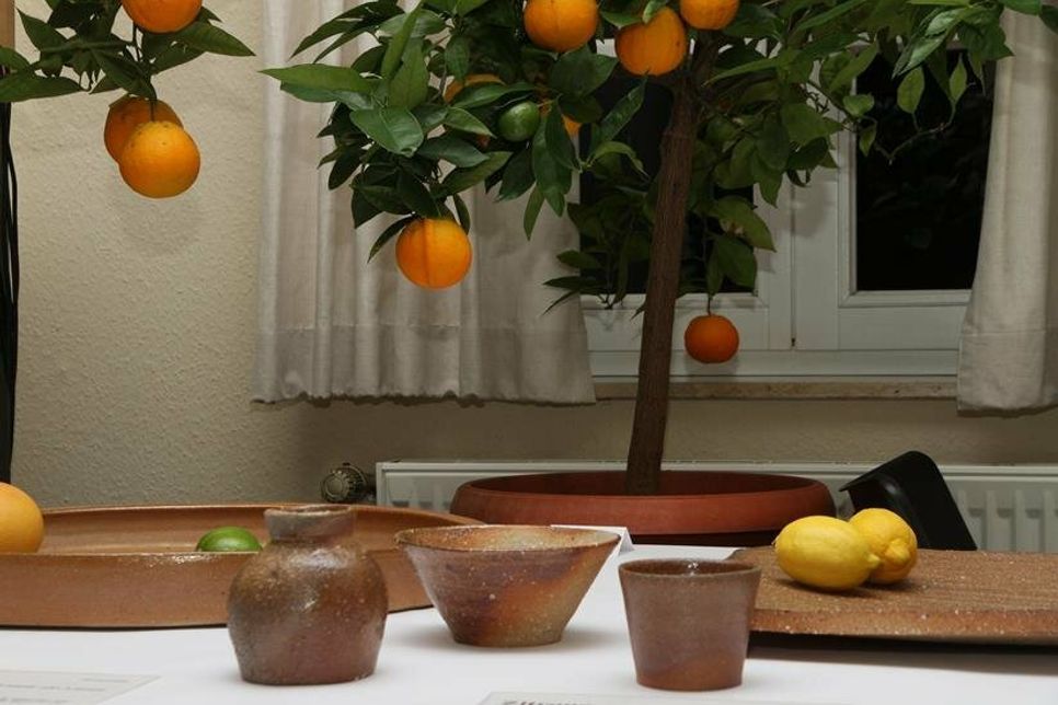 Es werden die getrockneten oder frischen Gewürze und Früchte ausgestellt.