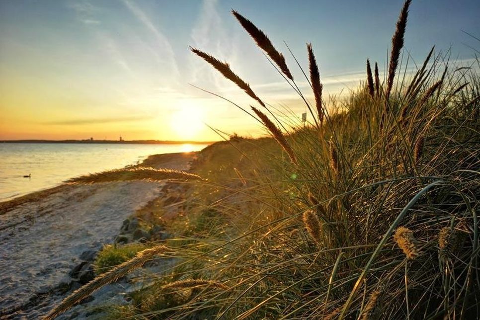 Ein Bild zum Träumen: Der Strand in Pelzerhaken. (Foto: Birgit Langer)