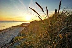 Ein Bild zum Träumen: Der Strand in Pelzerhaken. (Foto: Birgit Langer)
