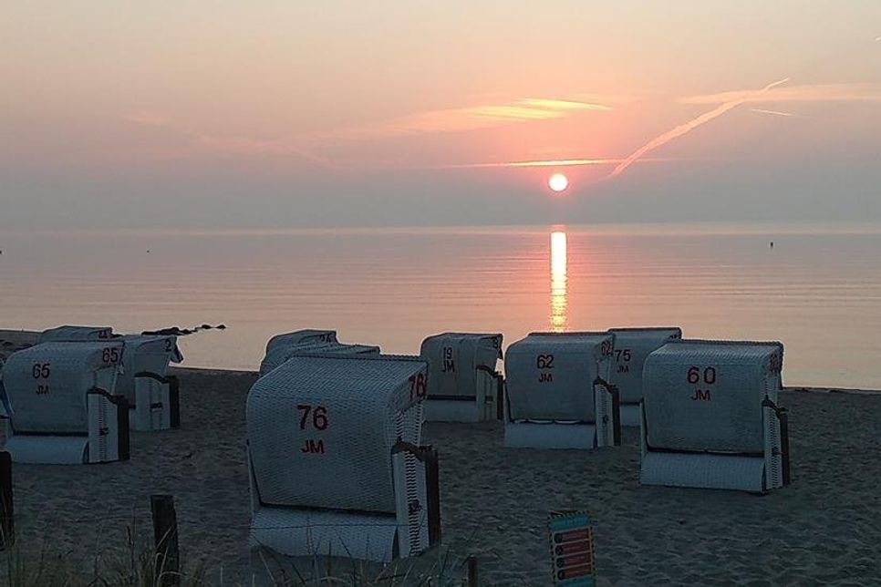 Foto: Frank Wilschewski.