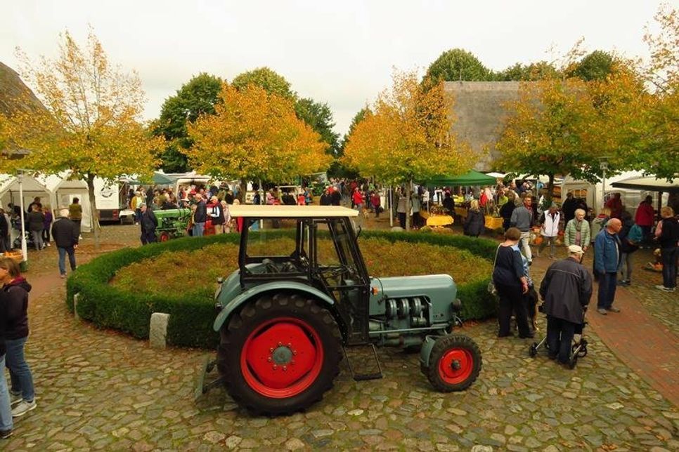 Der Landmarkt in Oldenburg ist mit seinem vielfältigen Angebot stets ein beliebter Treffpunkt.