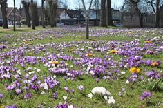 Der Frühling ist da!