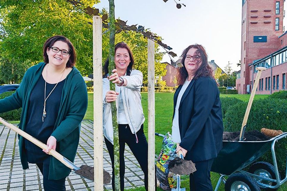 Julia Lorenz (links), Bürgermeisterin Bettina Schäfer und Stefanie Wehe pflanzten eine Blutbuche vor dem Bürgerhaus in Scharbeutz.