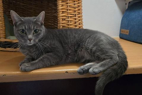 Frieda weiß genau, was sie will – und genau darin liegt ihr ganz eigener Charme.