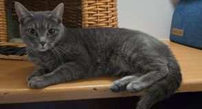 Frieda weiß genau, was sie will – und genau darin liegt ihr ganz eigener Charme.