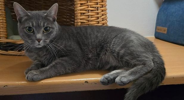 Frieda weiß genau, was sie will – und genau darin liegt ihr ganz eigener Charme.