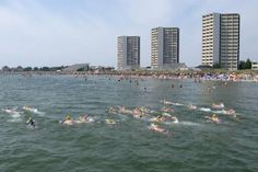 Ostseeschwimmer