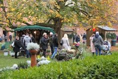 Viele Gäste genossen de besondere Stimmung im Kloster und nutzten die Zeit zum Stöbern.
