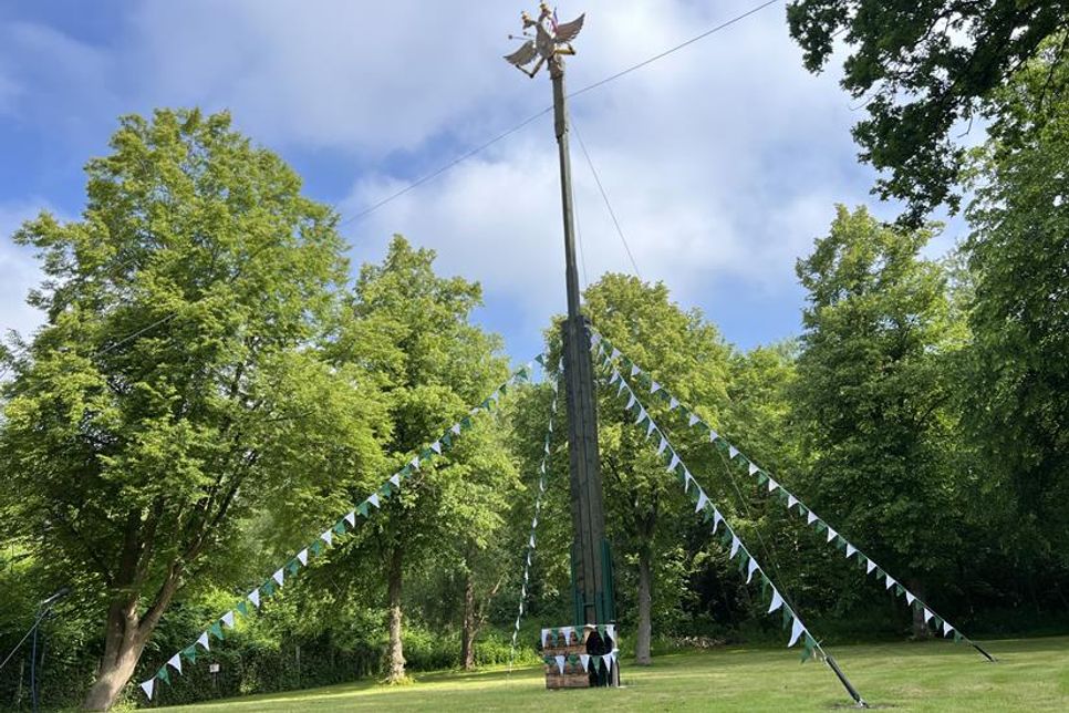 Beim Schützenfest im Juni ging es dem Vogel an den Kragen. Zum Auftakt erklangen Salutschüsse, die in ganz Neustadt zu hören waren.