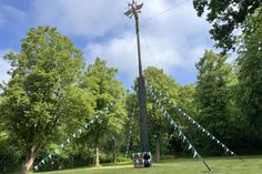 Beim Schützenfest im Juni ging es dem Vogel an den Kragen. Zum Auftakt erklangen Salutschüsse, die in ganz Neustadt zu hören waren.