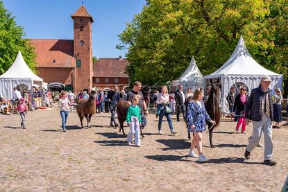 Stöbern, genießen und entdecken: Auf der Ambienta können die Besucher durch den idyllischen Innenhof von Gut Sierhagen schlendern – umgeben von liebevoll gestalteten Ausstellerständen. (Foto: Marianne Schreier)