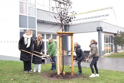 Auch der Kreis Ostholstein unterstützt das Wurzeln schlagen in Ostholstein, hier der Landrat bei der jährlichen Baumpflanzaktion mit einigen Nachwuchskräften.