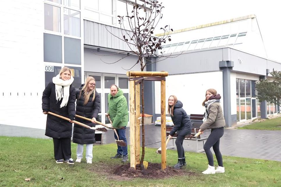 Auch der Kreis Ostholstein unterstützt das Wurzeln schlagen in Ostholstein, hier der Landrat bei der jährlichen Baumpflanzaktion mit einigen Nachwuchskräften.