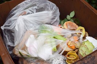 Plastiktüten in der Biotonne