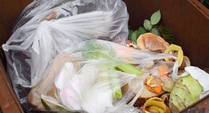 Plastiktüten in der Biotonne