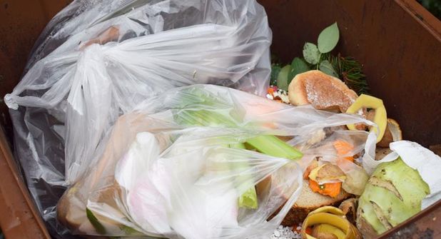 Plastiktüten in der Biotonne