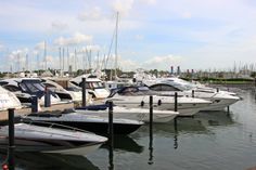 „die nordreportage: Wenn Millionen am Haken hängen - Hochbetrieb im Neustädter Hafen“