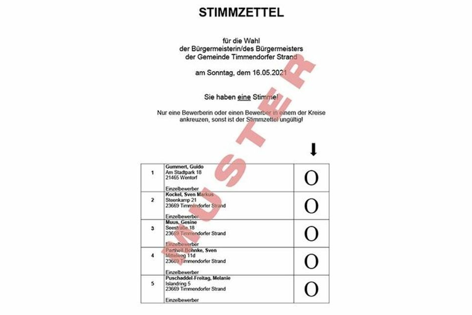 Muster-Stimmzettel