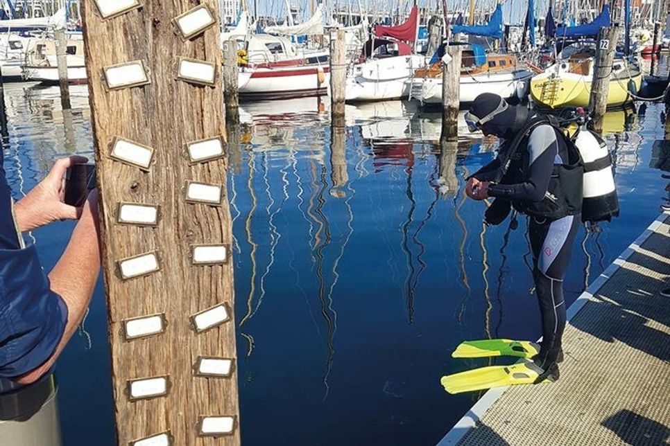 In der vergangenen Woche hat ein Taucher (siehe Foto) unter anderen alte Bauzäune, eine Plane und ein Gummifuß aus dem Travemünder Passathafen geholt, die jetzt von Schülern des Ostsee-Gymnasiums Timmendorfer Strand weiterverarbeitet werden.