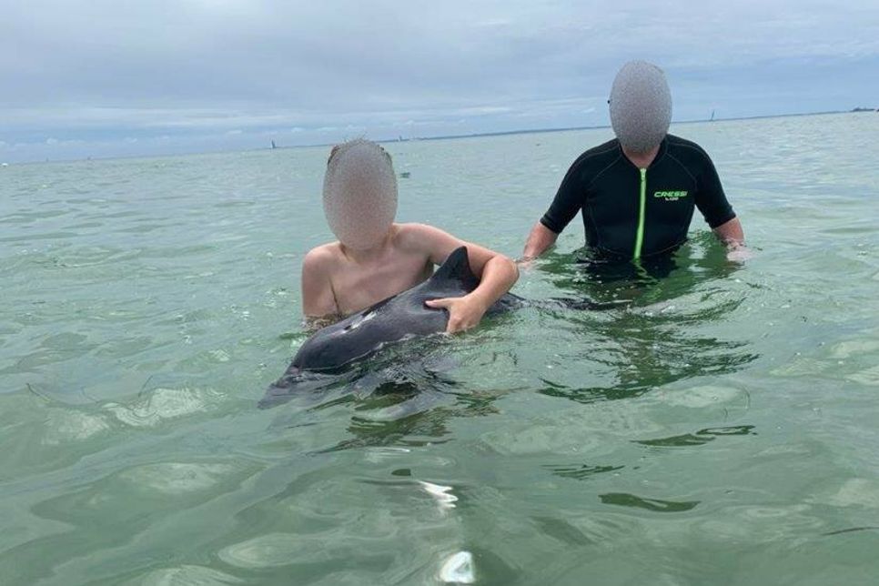 Das Foto wurde der Polizei von Zeugen zur Verfügung gestellt.