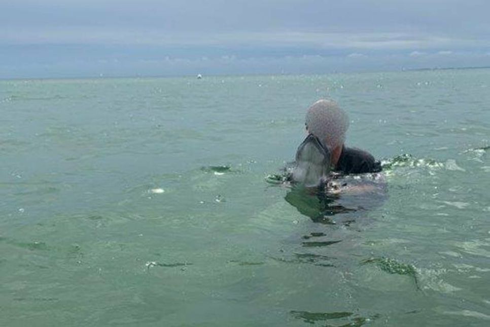 Ein Badegast hält das streng geschützte Tier über Wasser.