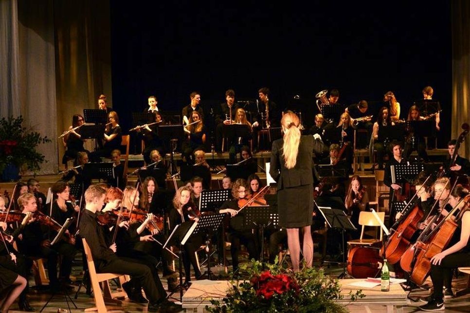Die Schulorchester der Waldorfschulen.