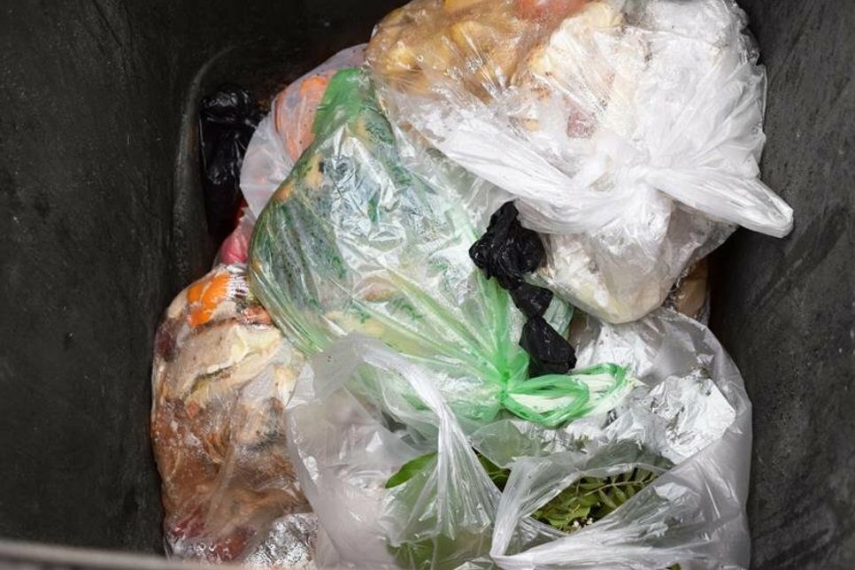 Der Blick in eine Biotonne in Ostholstein: Plastiktüten. Ein trauriges Bild: Noch immer landen zu viele Störstoffe im Bioabfall, vor allem Plastiktüten. Diese müssen aufwendig heraussortiert werden. Das ist teuer und das vollständige Aussortieren ist technisch nicht möglich. Der Zweckverband Ostholstein ist auf die Mithilfe der Bürger*innen angewiesen. (Foto: schweitzer media gmbh)