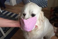 „Urmel“ - Foto: Oliver Wengelewski.