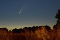Komet Neowise von Pelzerhaken aus gesehen - Foto: Susanne Müller.