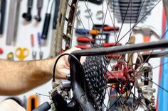Das Tobis-Team übernimmt auch Wartungs- und Reparaturarbeiten.
