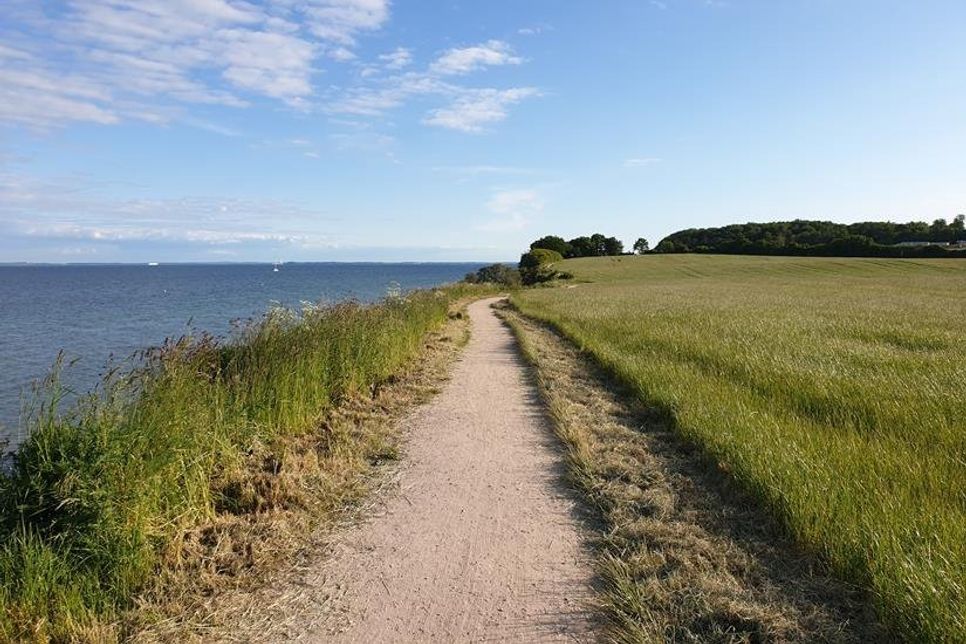 Wandern an der Steilküste.