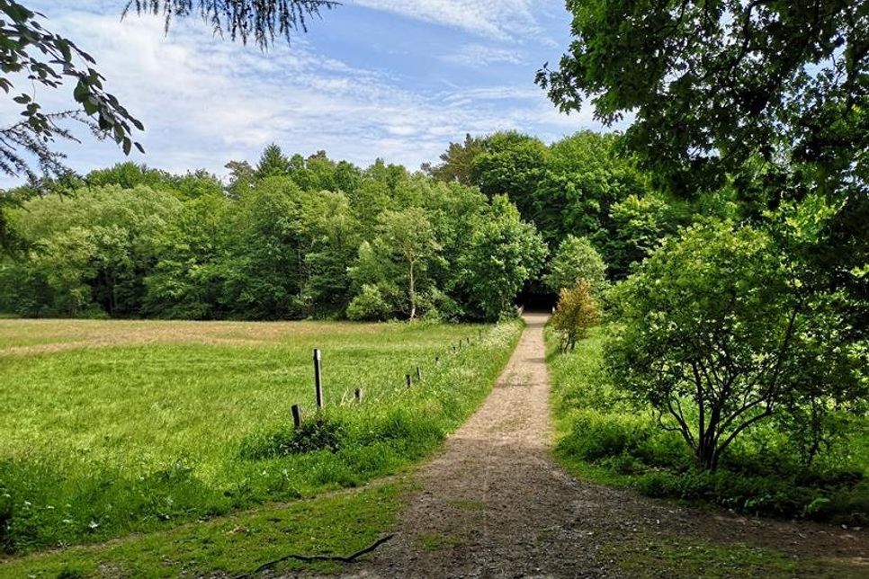 Wandern im Binneland.