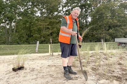 1. Der Verbandvorsteher Heinz-Peter Frank beim Pflanzen vom Strandhafer.