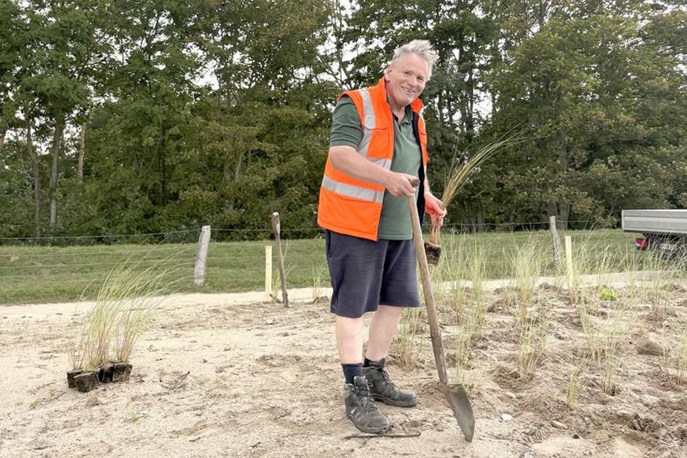 1. Der Verbandvorsteher Heinz-Peter Frank beim Pflanzen vom Strandhafer.