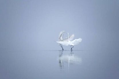 Nach der Februarpause geht es im OH-Museum mit einem vielfältigen Programm weiter. Im Erdgeschoss werden vom 2. März an „Fotografie und Lyrik“ von Monika Lawrenz und Anke Bastrop zu sehen sein.