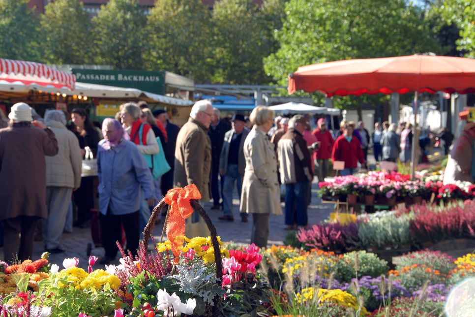 Neustadt. Der Wochenmarkt am Dienstag, dem 1. Juli findet nicht, wie gewohnt auf dem Neustädter Marktplatz, sondern auf dem Klosterhof statt. Dort können alle in gewohnter Manier von 8 bis 13 Uhr einkaufen. (red)