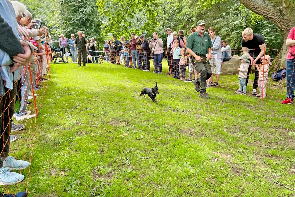 Auch in diesem Jahr wieder dabei: das beliebte Hunderennen im großen Park.