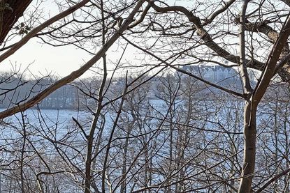 Blick vom Megedeberg nach Nordenwesten: Dieser alte Thingplatz, zu der slawischen Zeit angeblich ein Heiligtum, bildet mit der Insel Olsborg und dem Plöner Schloss eine Sichtachse.