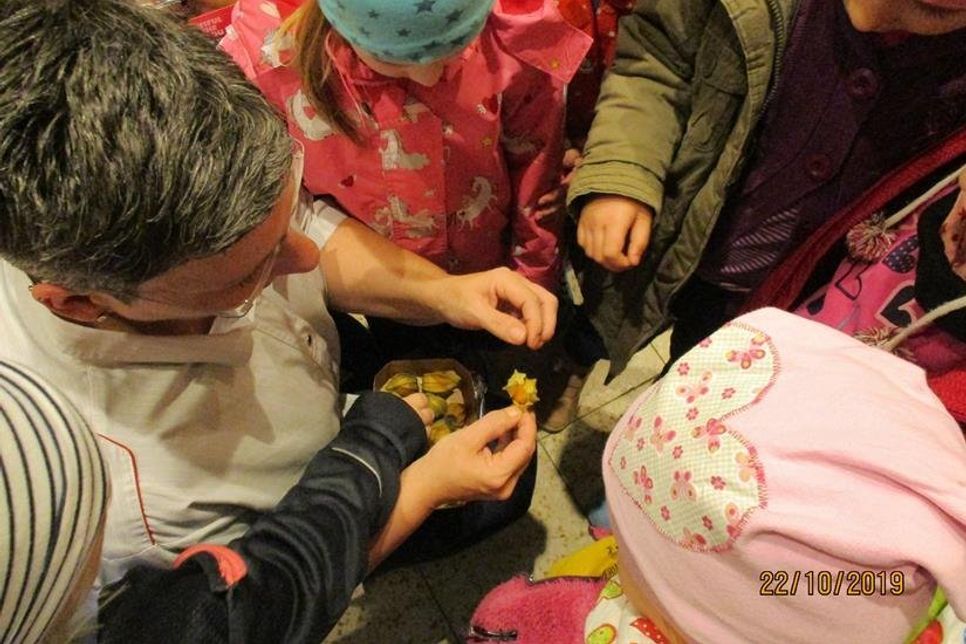 Neben saisonalem Obst und Gemüse aus der Region lernten die Kinder auch exotische Früchte kennen.