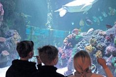 Wie jedes Jahr muss auch im Sea Life Timmendorfer Strand eine Inventur durchgeführt werden. Auch diesmal haben Schüler dabei geholfen. (Foto: Sea Life)
