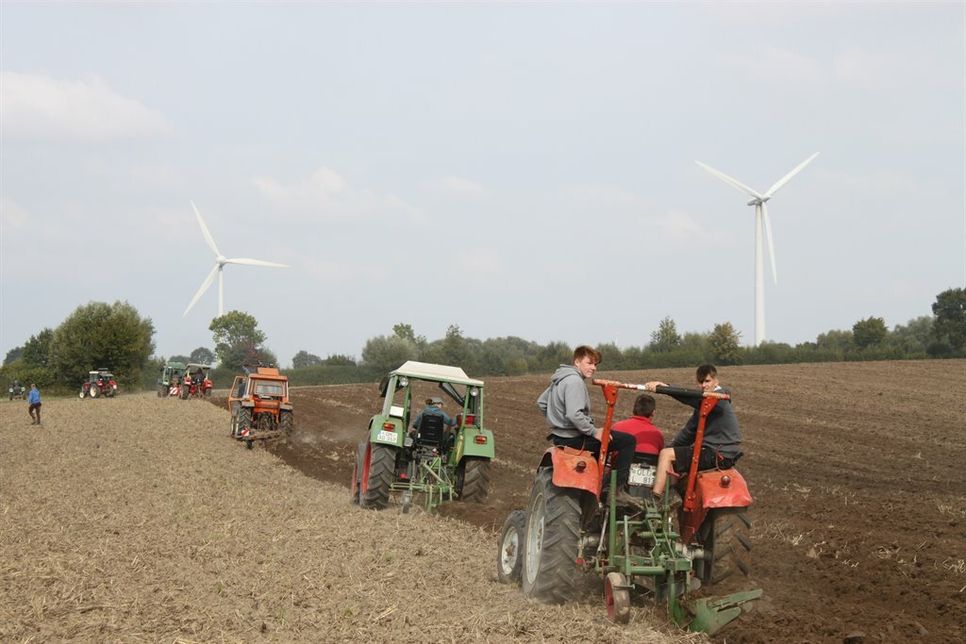 Bis zu 25 historische Oldtimer-Trecker pflügten das Ackerland um.