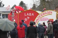 Bunte Wagen und schräge Kostüme begeisterten die Schaulustigen.